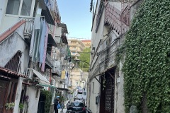 IMG_1812